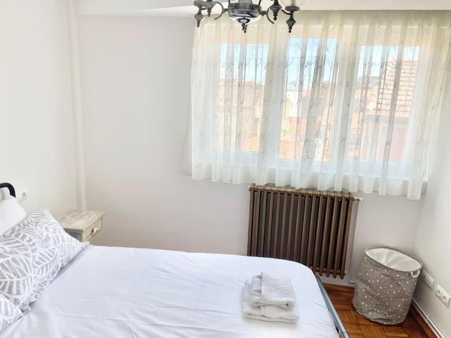 Apartment Casco Antiguo *